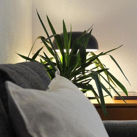Entre Pinos P1 Beach Apartment 托里代巴拉 外观 照片