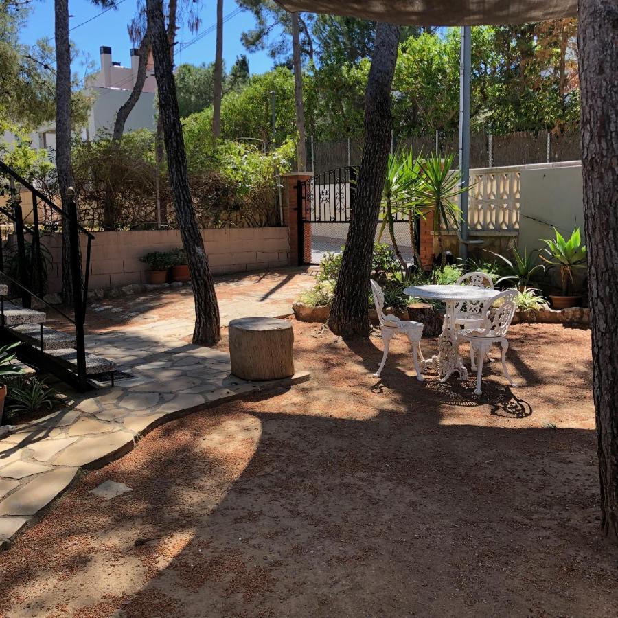 Entre Pinos P1 Beach Apartment 托里代巴拉 外观 照片