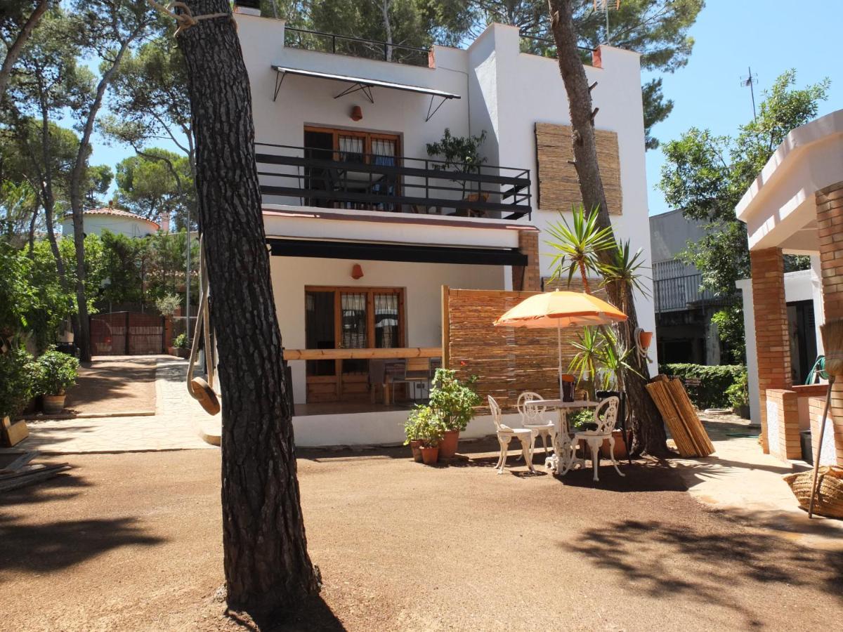 Entre Pinos P1 Beach Apartment 托里代巴拉 外观 照片